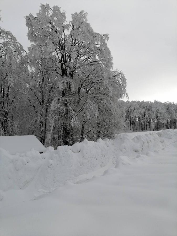 Guest House "Visnja" Žabljak Exteriör bild